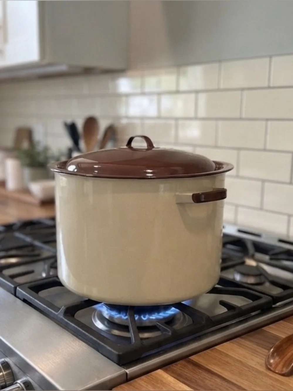 Vintage Enamelware Stockpot With Lid Cream Almond Beige Brown Trim Farmhouse